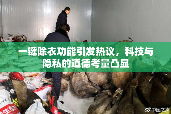一键除衣功能引发热议，科技与隐私的道德考量凸显