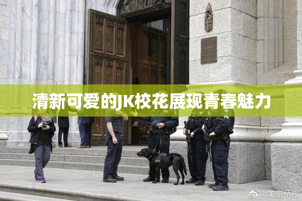清新可爱的JK校花展现青春魅力
