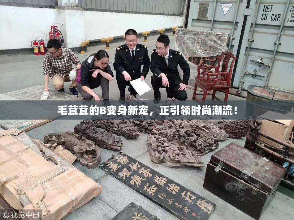 毛茸茸的B变身新宠，正引领时尚潮流！