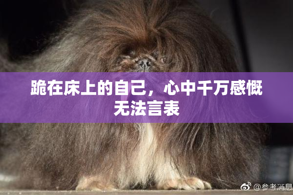 跪在床上的自己，心中千万感慨无法言表