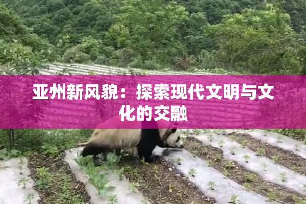 亚州新风貌：探索现代文明与文化的交融