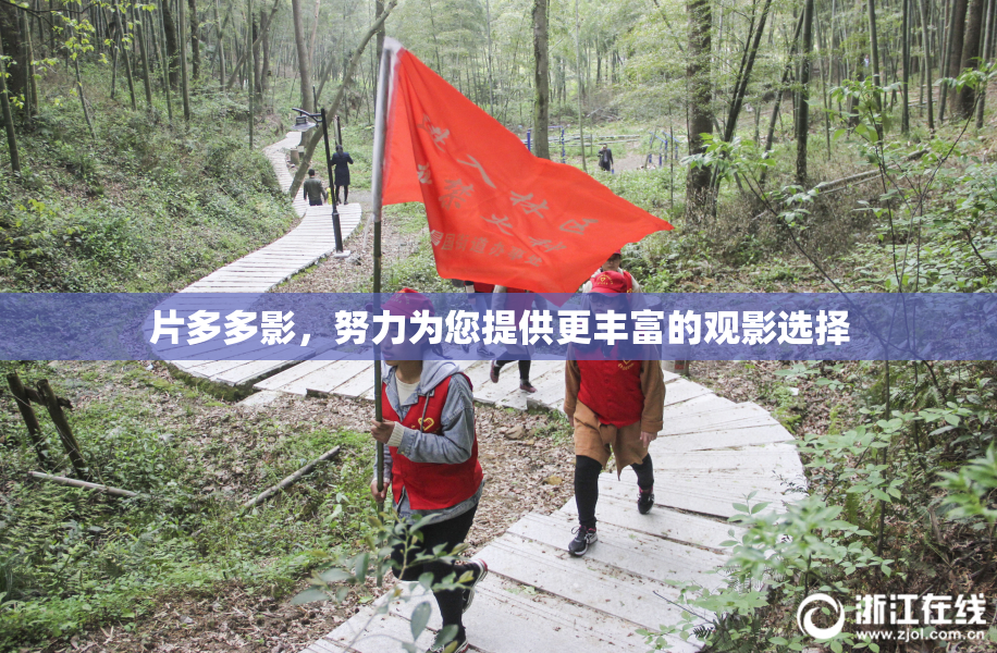 片多多影，努力为您提供更丰富的观影选择