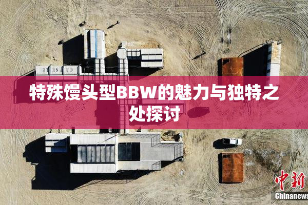 特殊馒头型BBW的魅力与独特之处探讨
