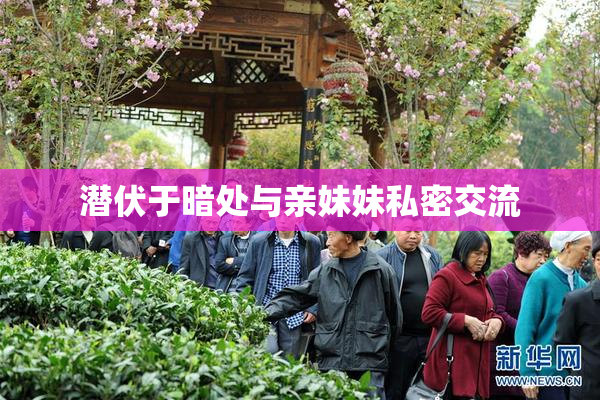 潜伏于暗处与亲妹妹私密交流