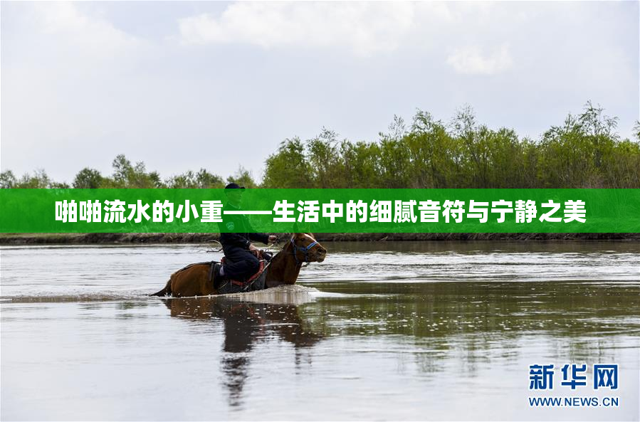 啪啪流水的小重——生活中的细腻音符与宁静之美