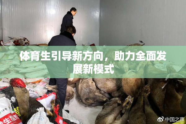 体育生引导新方向，助力全面发展新模式
