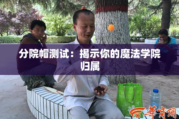 分院帽测试：揭示你的魔法学院归属