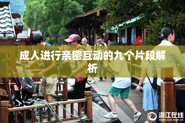 成人进行亲密互动的九个片段解析