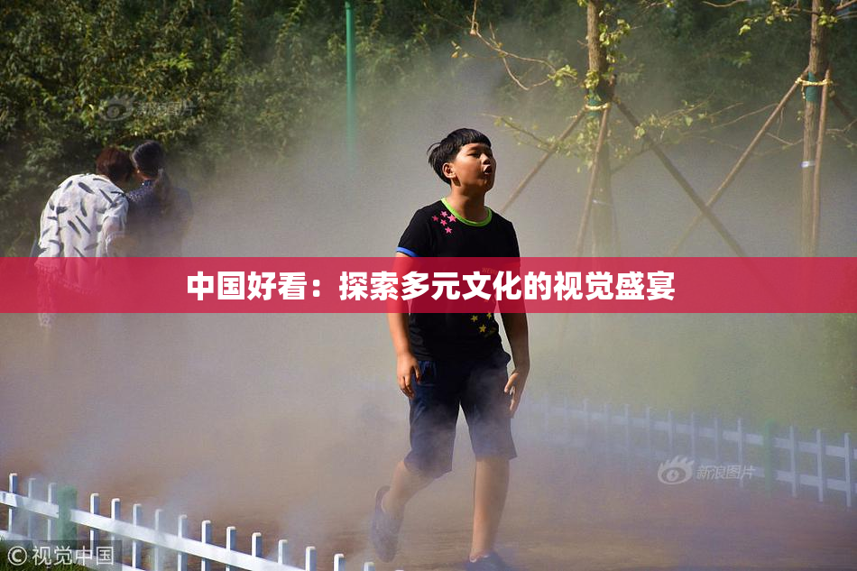中国好看：探索多元文化的视觉盛宴
