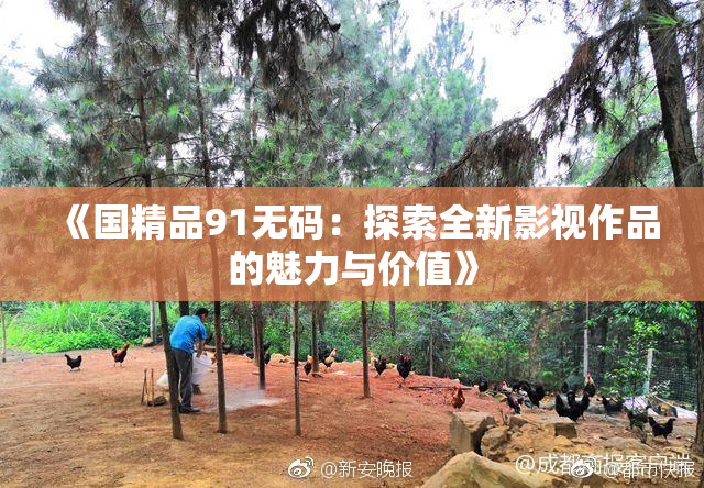 《国精品91无码：探索全新影视作品的魅力与价值》