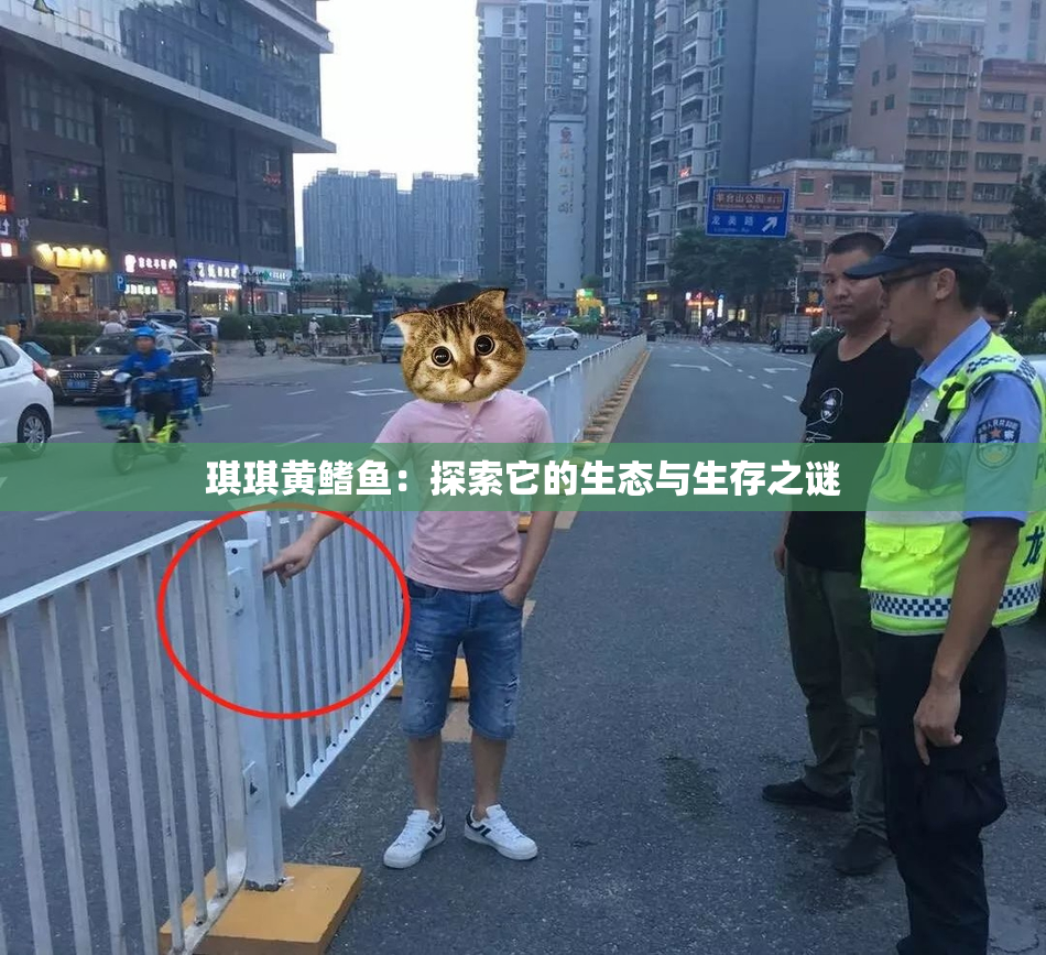 琪琪黄鳍鱼：探索它的生态与生存之谜