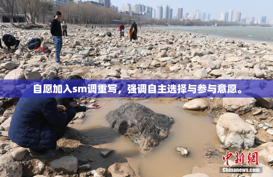 自愿加入sm调重写，强调自主选择与参与意愿。