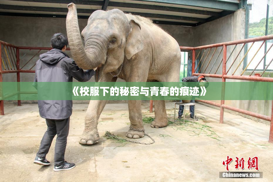 《校服下的秘密与青春的痕迹》