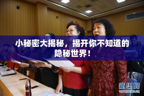 小秘密大揭秘，揭开你不知道的隐秘世界！