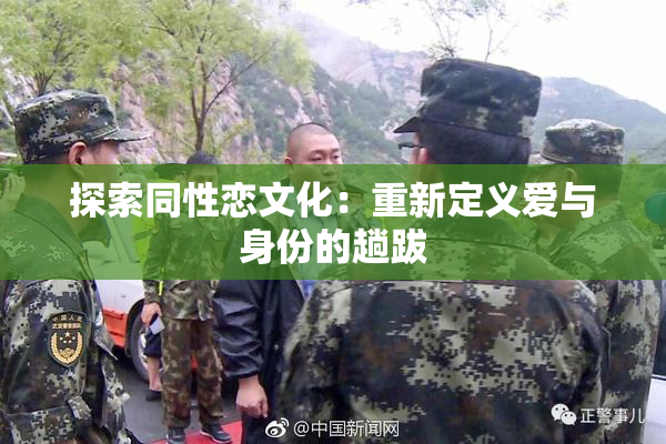 探索同性恋文化：重新定义爱与身份的趟跋