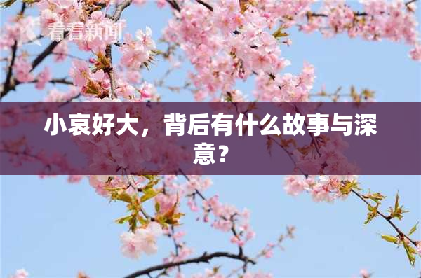 小哀好大，背后有什么故事与深意？