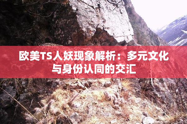 欧美TS人妖现象解析：多元文化与身份认同的交汇