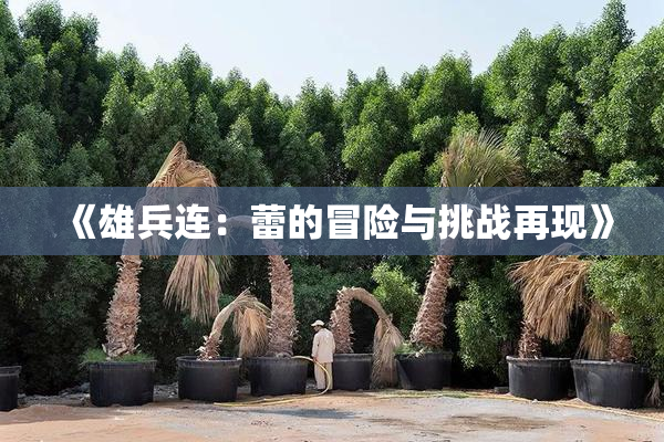 《雄兵连：蕾的冒险与挑战再现》