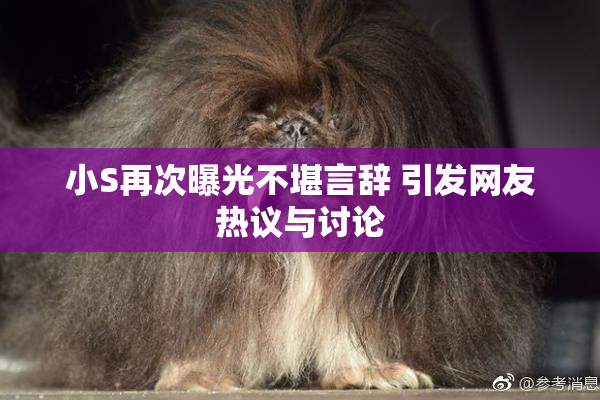 小S再次曝光不堪言辞 引发网友热议与讨论