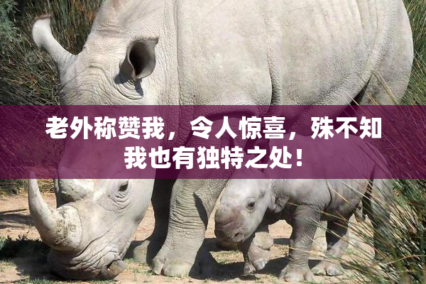老外称赞我，令人惊喜，殊不知我也有独特之处！
