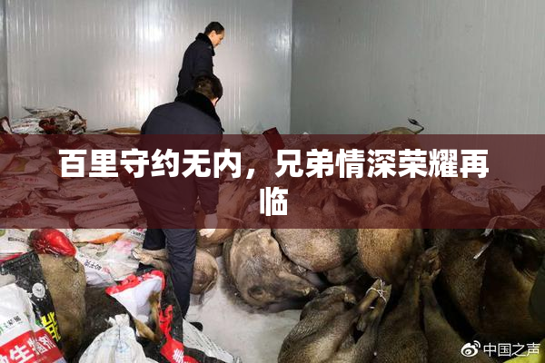百里守约无内，兄弟情深荣耀再临