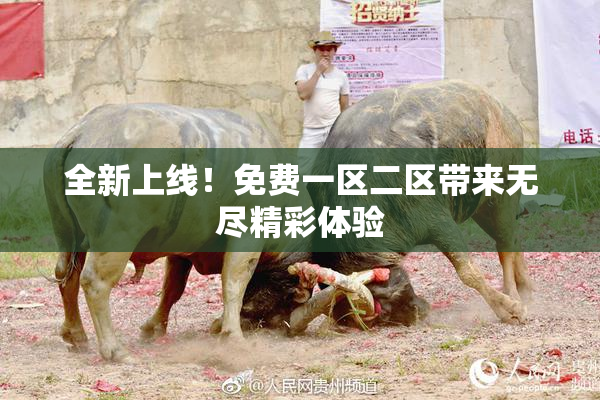 全新上线！免费一区二区带来无尽精彩体验