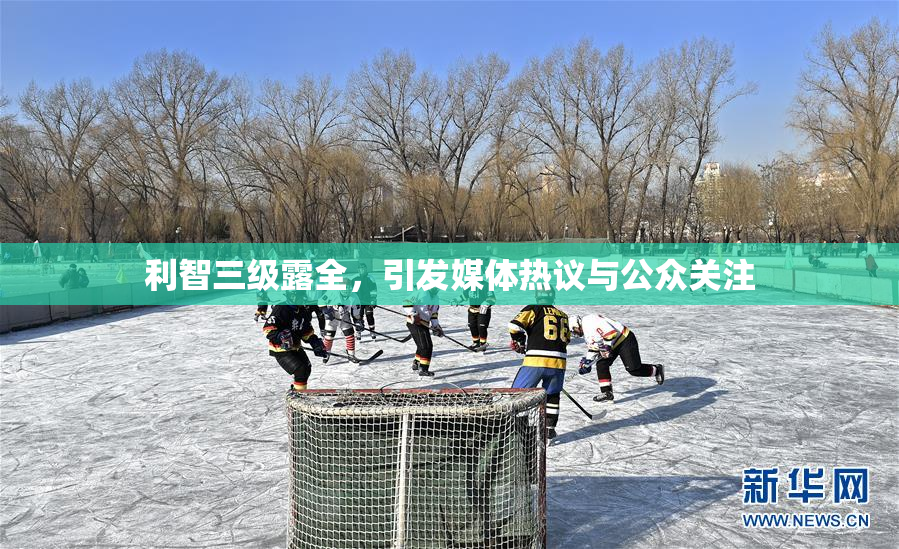 利智三级露全，引发媒体热议与公众关注