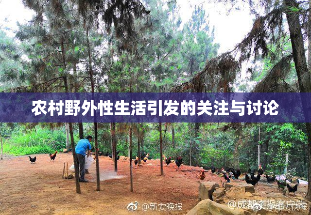 农村野外性生活引发的关注与讨论