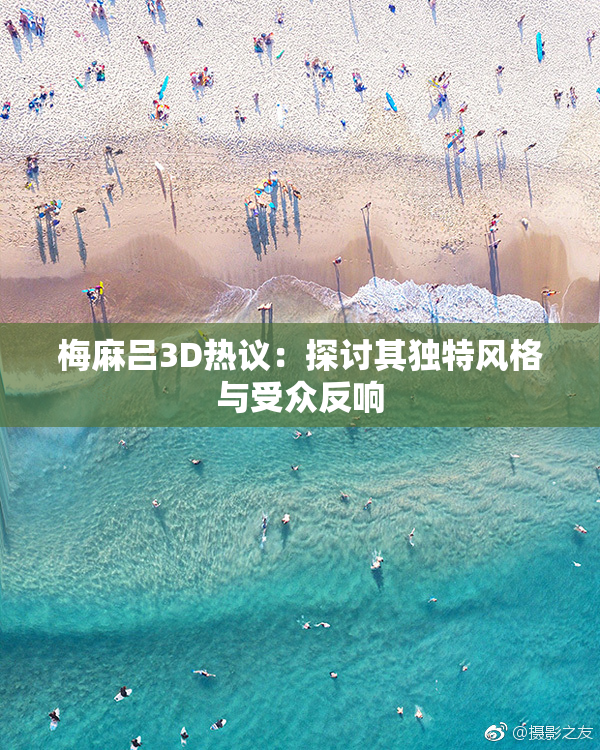 梅麻吕3D热议：探讨其独特风格与受众反响