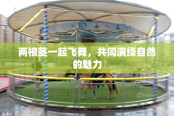 两根茎一起飞舞，共同演绎自然的魅力