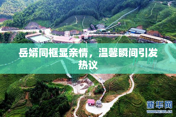 岳婿同框显亲情，温馨瞬间引发热议