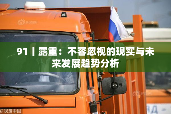 91丨露重：不容忽视的现实与未来发展趋势分析
