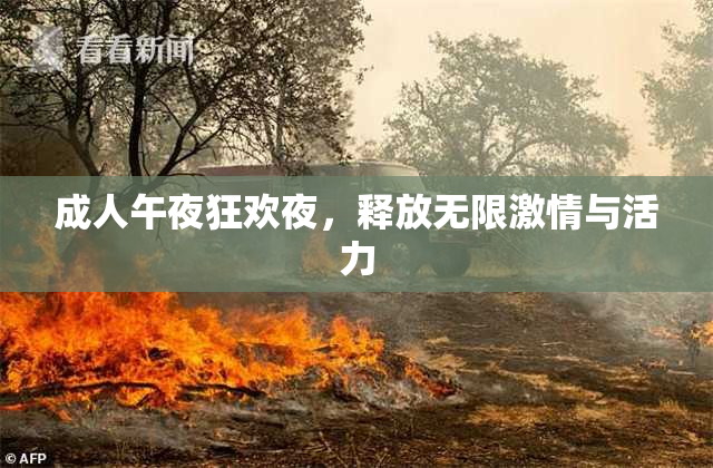 成人午夜狂欢夜，释放无限激情与活力
