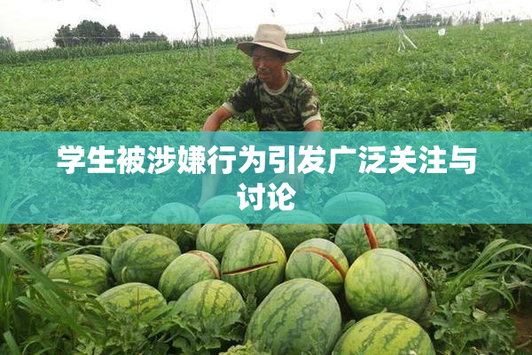 学生被涉嫌行为引发广泛关注与讨论