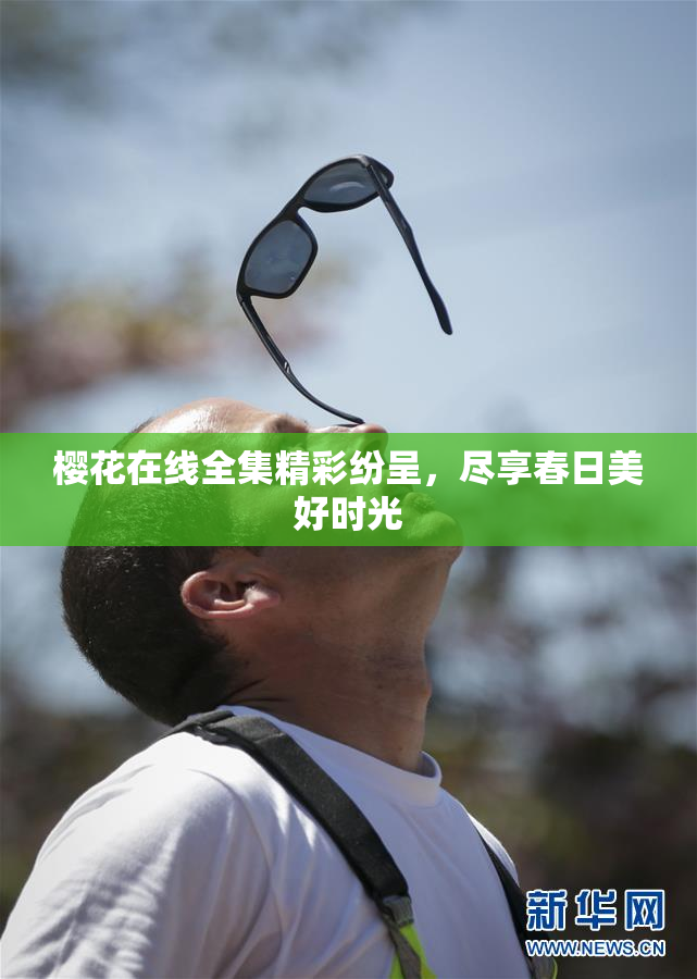 樱花在线全集精彩纷呈，尽享春日美好时光