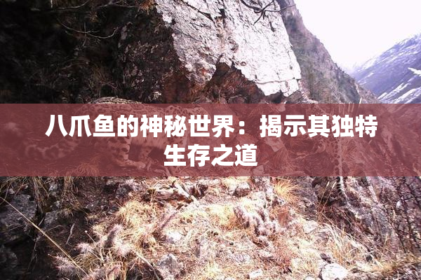 八爪鱼的神秘世界：揭示其独特生存之道