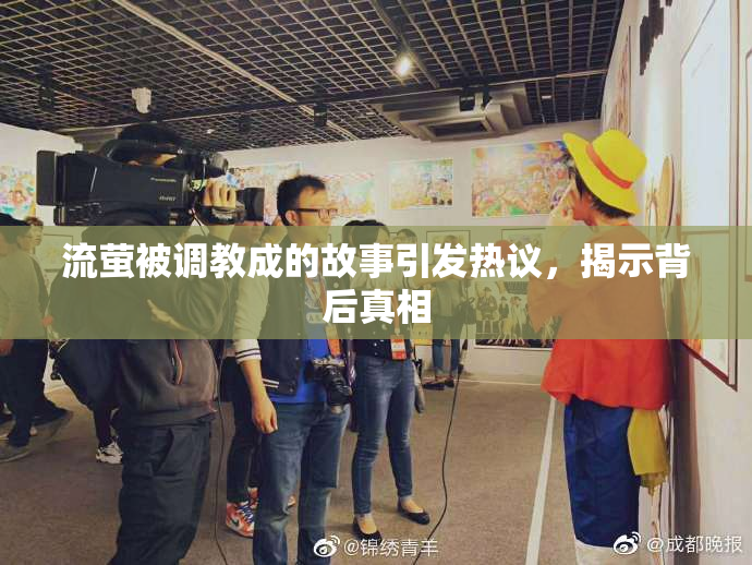 流萤被调教成的故事引发热议，揭示背后真相
