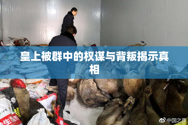 皇上被群中的权谋与背叛揭示真相