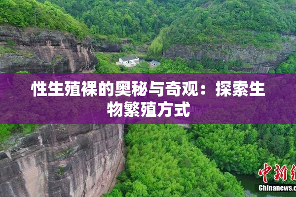 性生殖裸的奥秘与奇观：探索生物繁殖方式