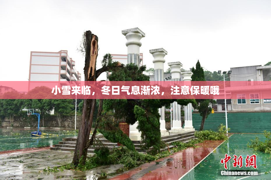 小雪来临，冬日气息渐浓，注意保暖哦