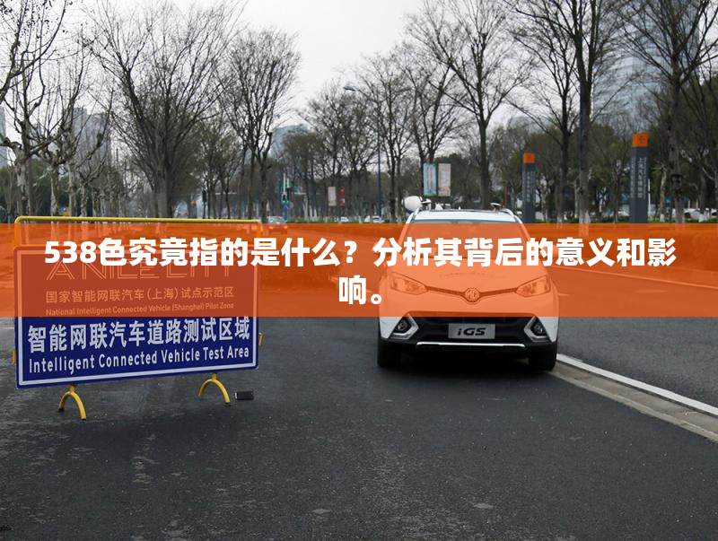 538色究竟指的是什么？分析其背后的意义和影响。