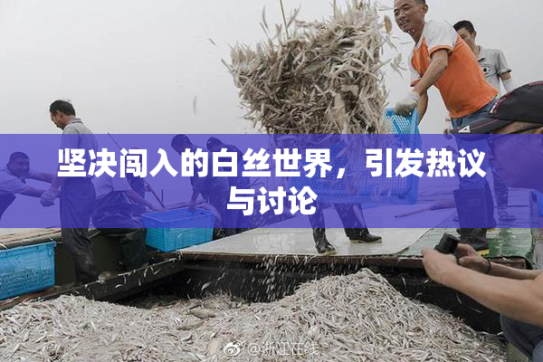 坚决闯入的白丝世界，引发热议与讨论