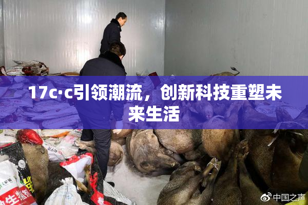 17c·c引领潮流，创新科技重塑未来生活