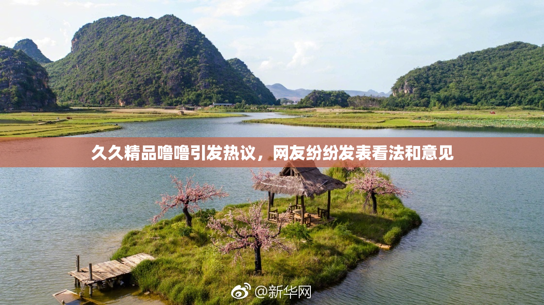 久久精品噜噜引发热议，网友纷纷发表看法和意见