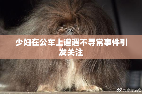 少妇在公车上遭遇不寻常事件引发关注