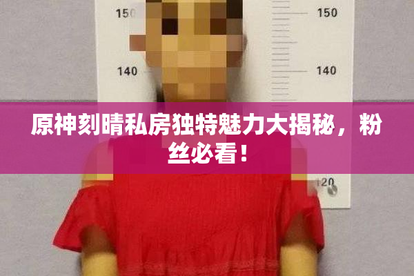 原神刻晴私房独特魅力大揭秘，粉丝必看！