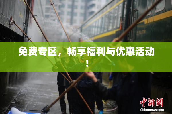 免费专区，畅享福利与优惠活动！