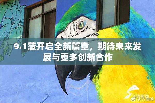 9.1菠开启全新篇章，期待未来发展与更多创新合作