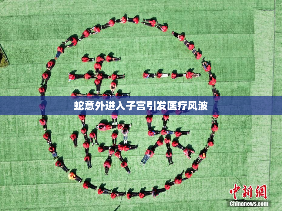蛇意外进入子宫引发医疗风波