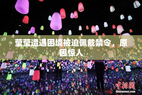 莹莹遭遇困境被迫佩戴禁令，原因惊人